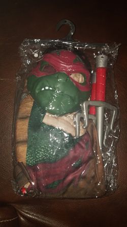 Ninja turtle