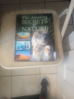 The Amazing Secrets Of Nature