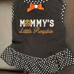 Pet Halloween Outfit 