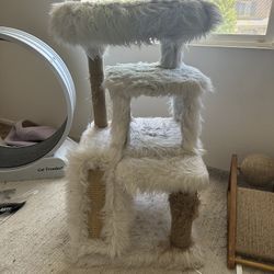 Cat House 