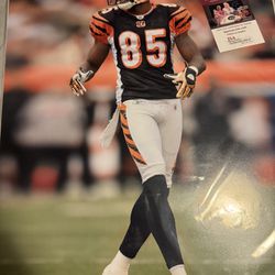 Chad Johnson Signed 16x20 Poster