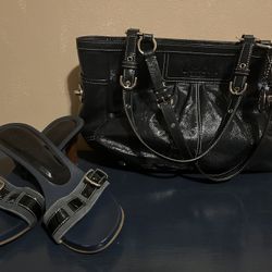 Coach Purse And Matching Shoes 