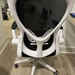 Office Chair in Great Condition