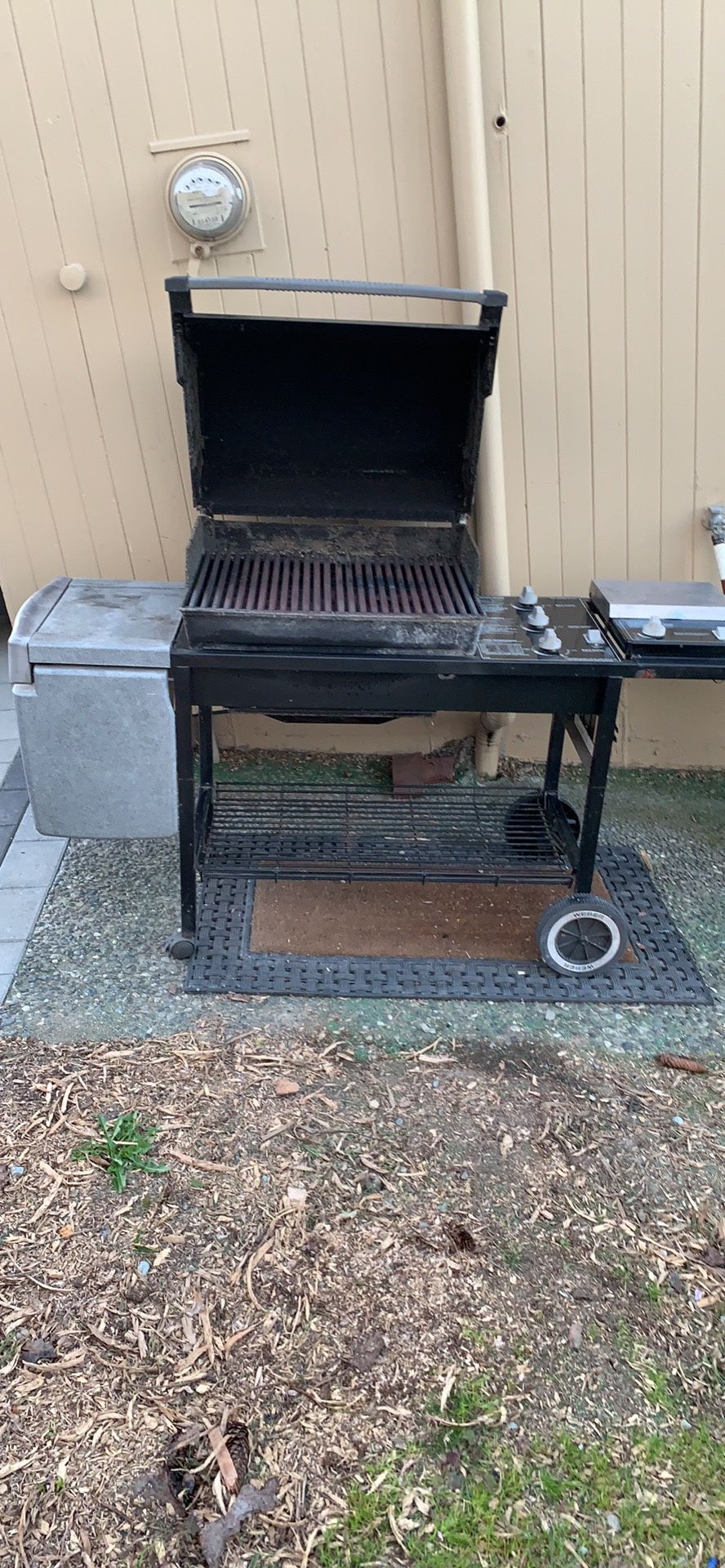 Weber Gas Grill