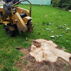 Remove Stump 