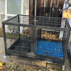 Dog Kennel 