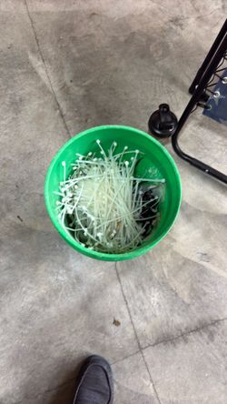 bucket of zip ties