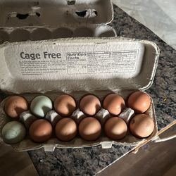 EGGS!!!! 