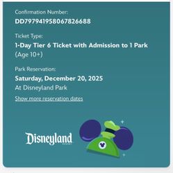 Disneyland Tickets