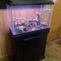20G Aquarium with Stand and Accessories