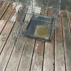 Small Dog Cage