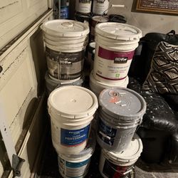 GALLON PAINTS $10