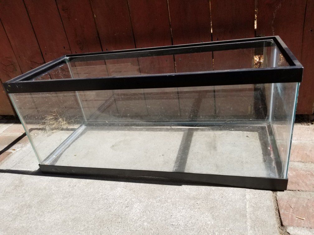 30 gallon fish tank (used for baby turtles)
