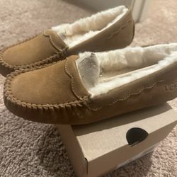 Ugg  Slippers 