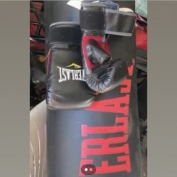 Punching Bag With The Gloves 