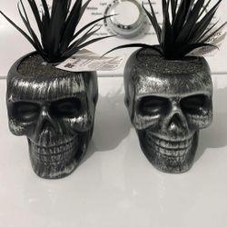 Skull Decor Plants - See Pics / Description