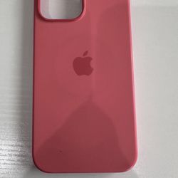 13 Pro Max iPhone Cases 