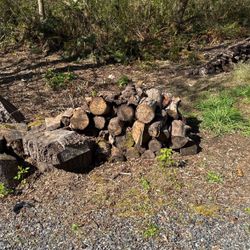 Free Dry Firewood  Ready To Burn - Hwy 9/180 Th - Clearview Behind Safeway