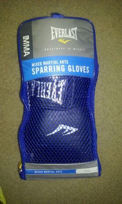 Large sparring gloves