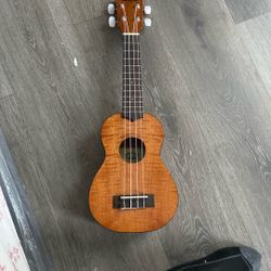 Kala Brand Ukulele 