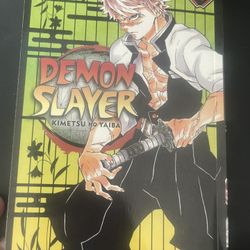 Mangá Demon Slayer Kimetsu No Yaiba Volume 17