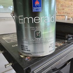 Sherwin Williams Paint