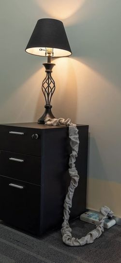 Lamp Cord Cover 3 At 9 Feet Each