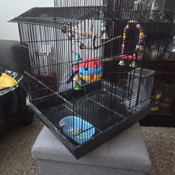 Canary  Bird Cage
