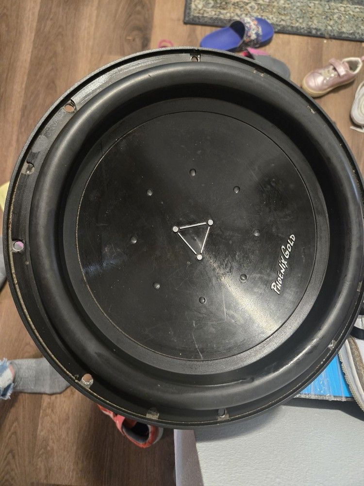 Phoenix Gold Subwoofer