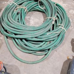1.5 Inch 50' hoses (x3 hoses)