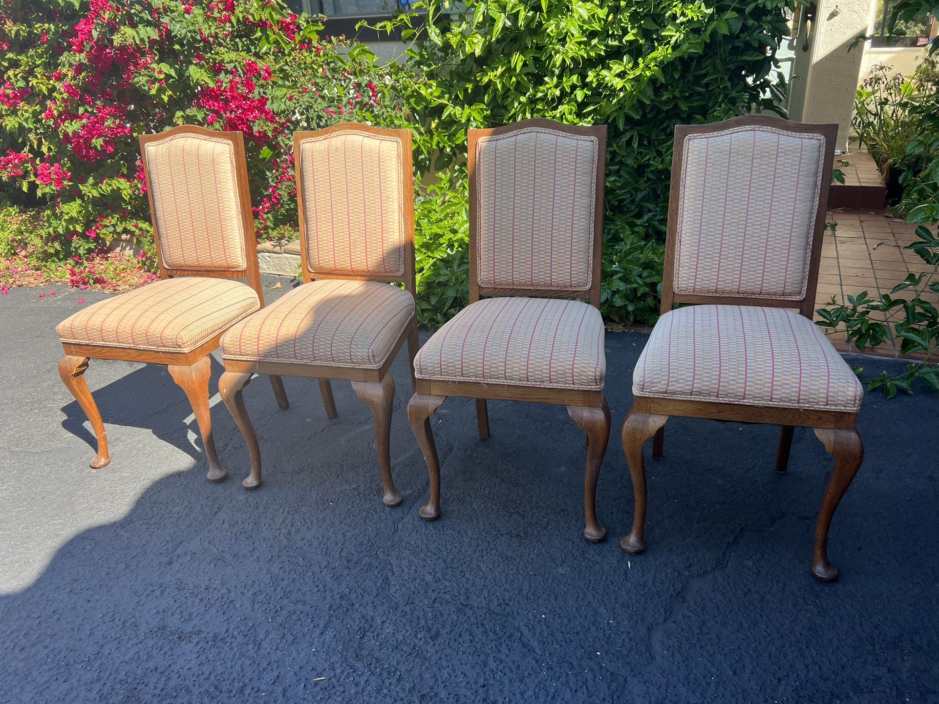Vintage/Antique Dinning Chairs