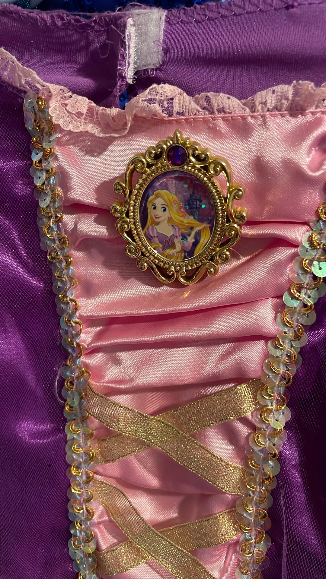 Disney Rapunzel dress Halloween costume