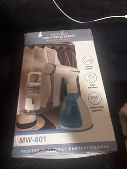Handheld Garment Steamer