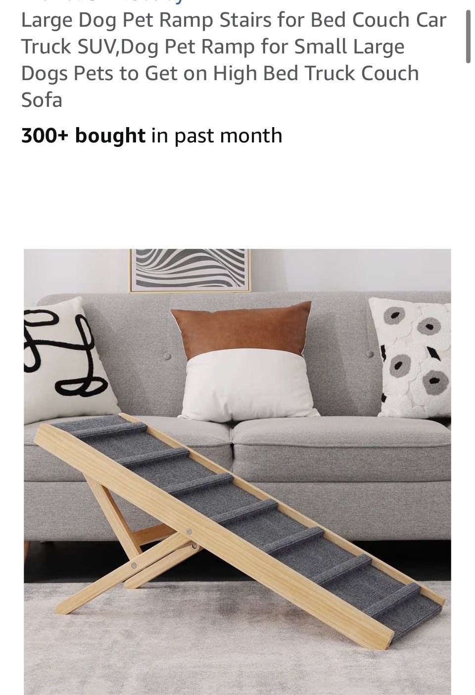 Pet Ramp 