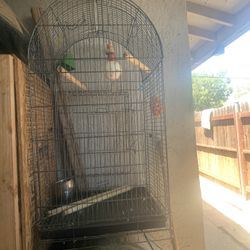 Jaula Para Pericos