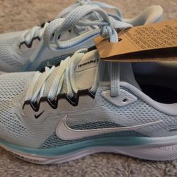 Nike Pegasus 41 women's