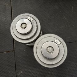 55 Ib Dumbbells