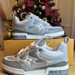 Brand New Louis Vuiton Skate Sneakers 