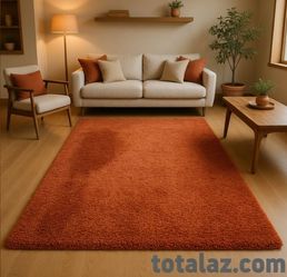 Indoor Rug 7'10" x 11'