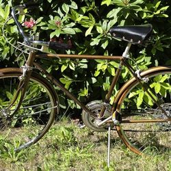 Schwinn Vintage Suburban bicycle