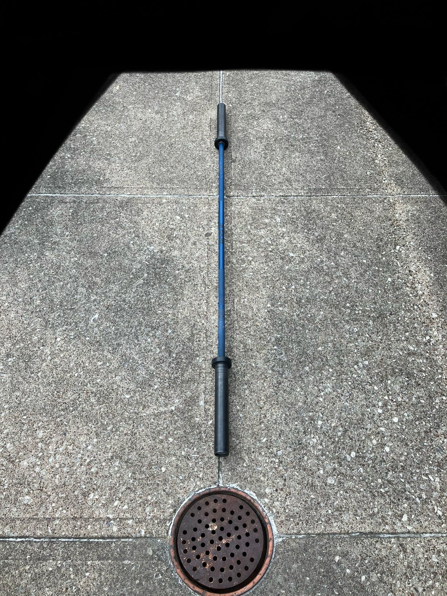 Rogue Cerakote The Bella Bar 2.0 Olympic 2" barbell for weight plates weights bumper bumpers Blue Fitness