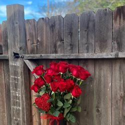 Valentines Day Roses