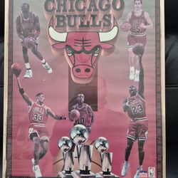 Vintage Michael Jordan🐐 /Bulls Three-Peat Champions By Starline