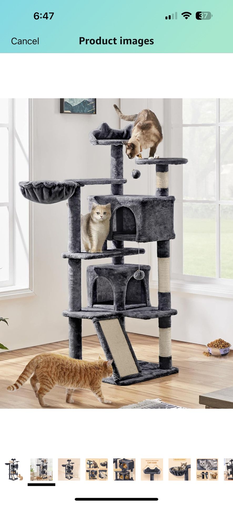 Cat Tower