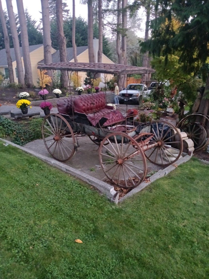 Horse Carriage