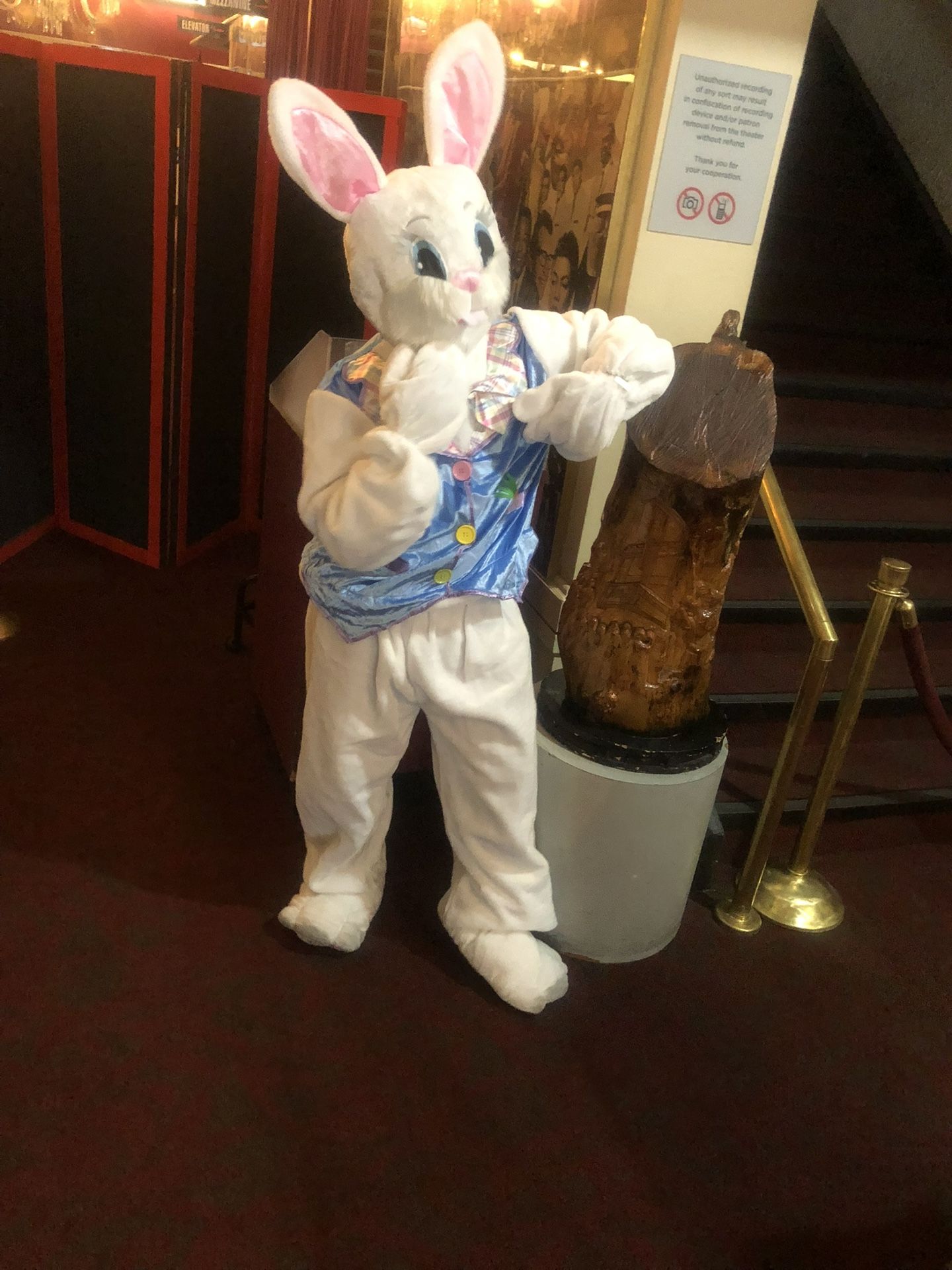 Easter Bunny Costume (Professional Plush) Great Condition! Great Price !