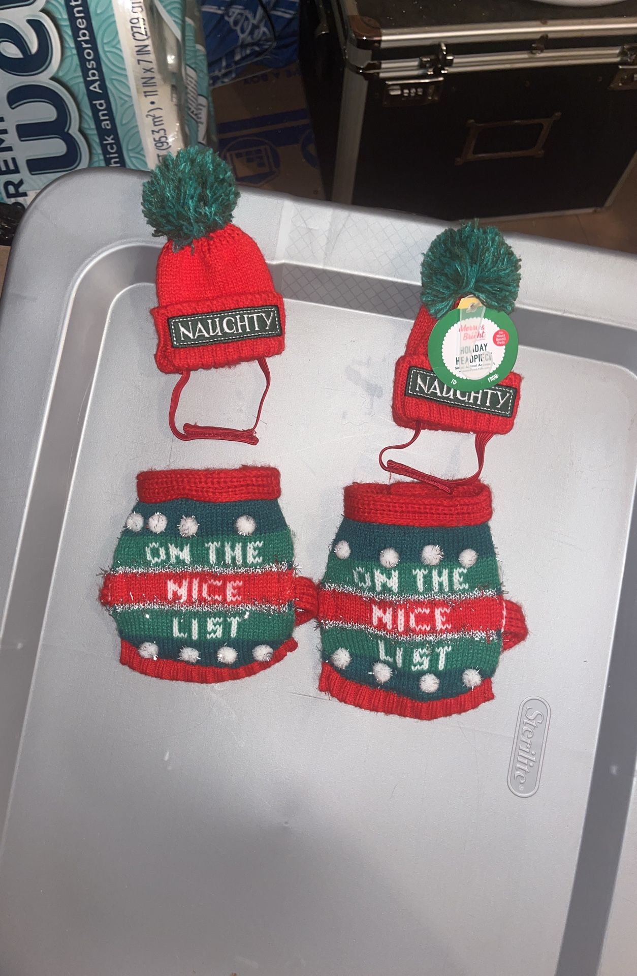 Iguana Christmas Outfit With Hat