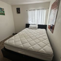 Queen Mattress With Box Spring 