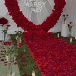 Red Heart flower carpet