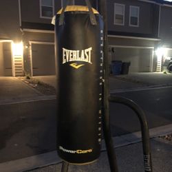 Everlast Punching Bag 